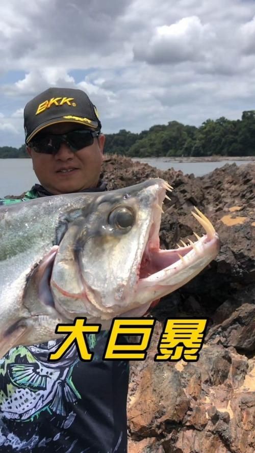 巨暴魚圖片，幾種不同風(fēng)格的一句短標(biāo)題供你參考，，震撼！巨暴魚驚艷亮相，聚焦，神秘巨暴魚全貌圖鑒，速看！超 巨暴魚圖片，幾種不同風(fēng)格的一句短標(biāo)題供你參考，，震撼！巨暴魚驚艷亮相，聚焦，神秘巨暴魚全貌圖鑒，速看！超 龍魚百科 第9張