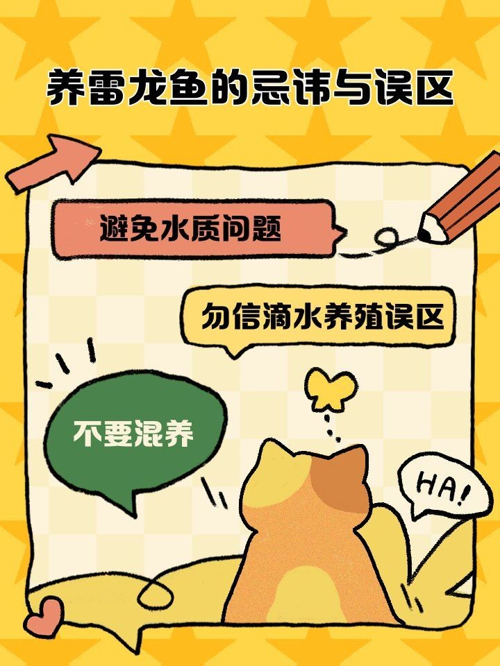 養雷龍魚3大忌，你可以按需選用，，雷龍魚養護，三忌須知，養雷龍魚，謹記三大禁忌，雷龍魚飼養，避開這三忌