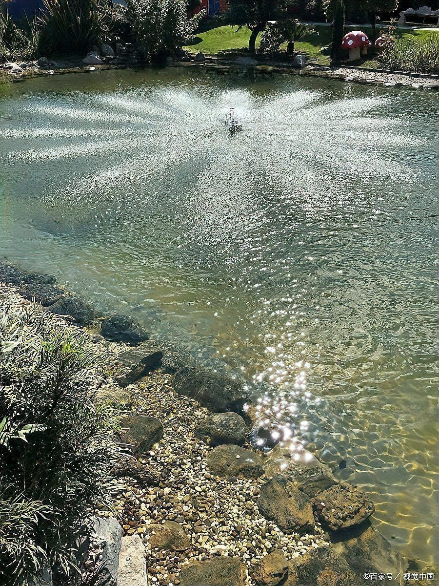 養黃鱔的10個忠告，鱔養殖 養黃鱔的10個忠告，鱔養殖 龍魚百科 第13張