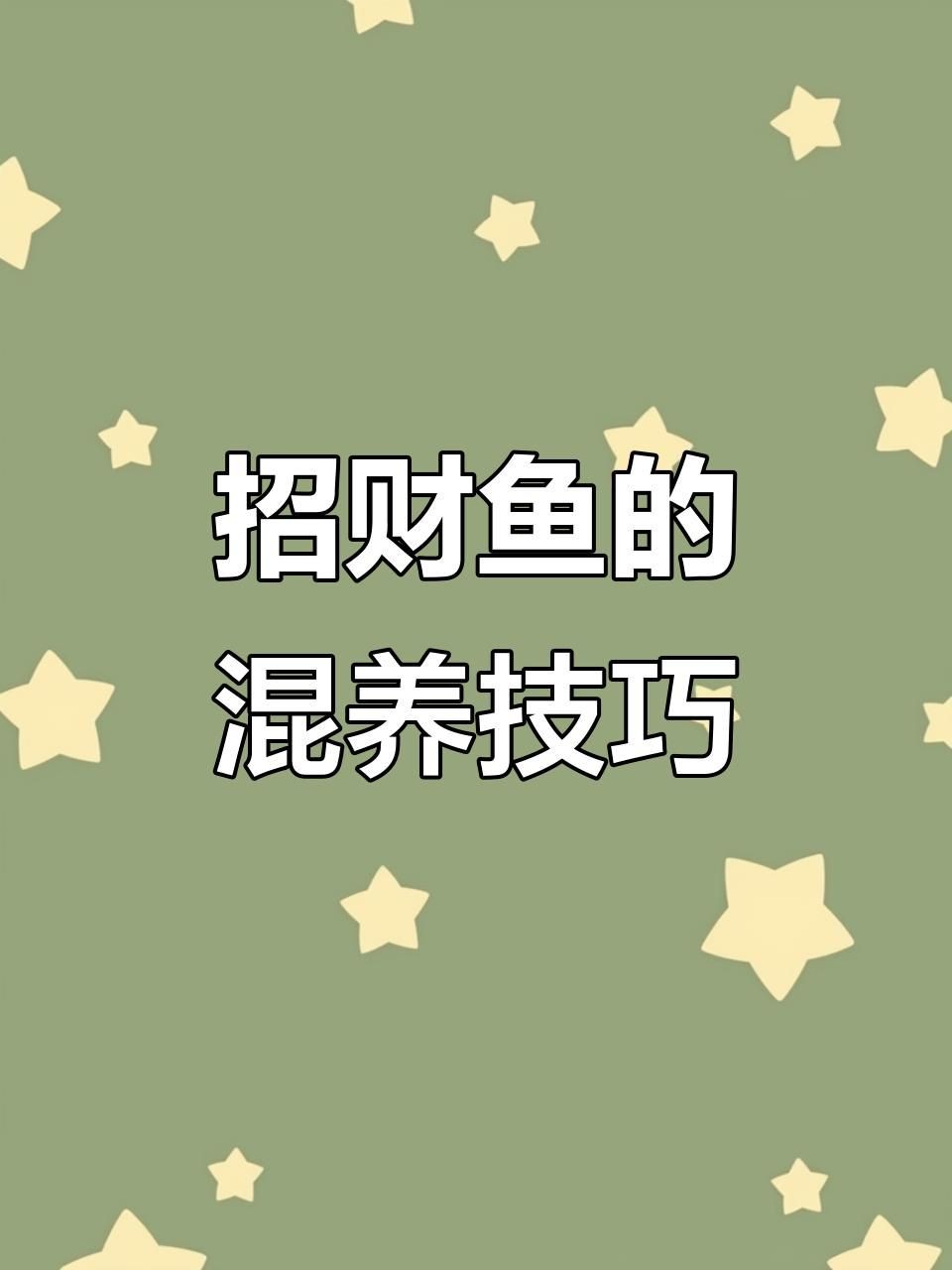 招財魚可以和龍魚混養嗎，財魚與龍魚能否混養？