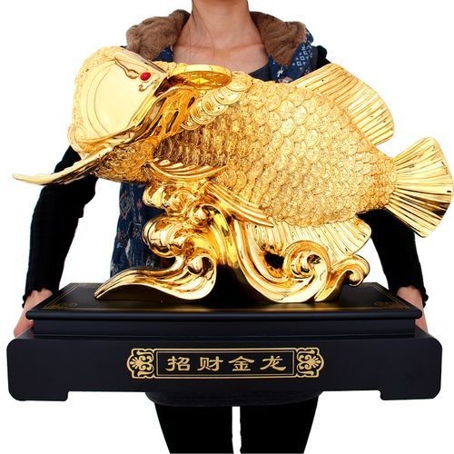 招財金龍魚圖片，幾種不同風格的一句短標題供你參考，，萌趣招財金龍魚靚影，吉祥招財金龍魚圖鑒，靈動招財金