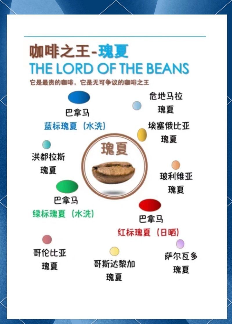咖啡中的愛馬仕，你可以按需選擇，，奢味咖啡·愛馬仕風韻，咖啡界愛馬仕，臻享格調！，邂逅咖啡中的愛馬仕雅