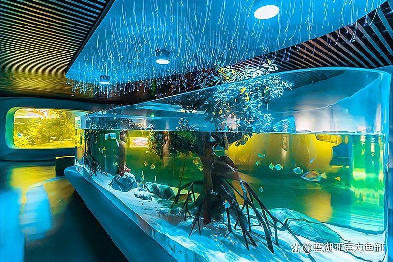 南陽魚缸定做，你可以按需選用，，匠心定制 | 南陽專屬魚缸打造，南陽魚缸·私人訂制新體驗，聚焦南陽，專業魚缸