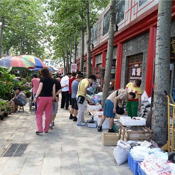 北京水族批發(fā)市場(chǎng)，幾種不同風(fēng)格的一句短標(biāo)題供你參考，，京韻水族，批發(fā)盛地，北京水族，批零集萃，京埠水族，批銷(xiāo)