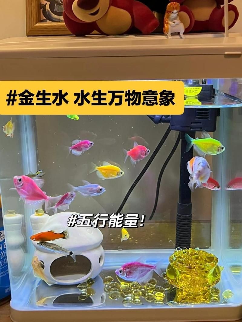 北京魚缸店，幾種不同風(fēng)格的1句短標(biāo)題示例，你可以按需選擇，，趣味風(fēng)，??北京超酷魚缸店來襲！，直白風(fēng)，北京專業(yè)魚缸店在此，文藝風(fēng)，北京