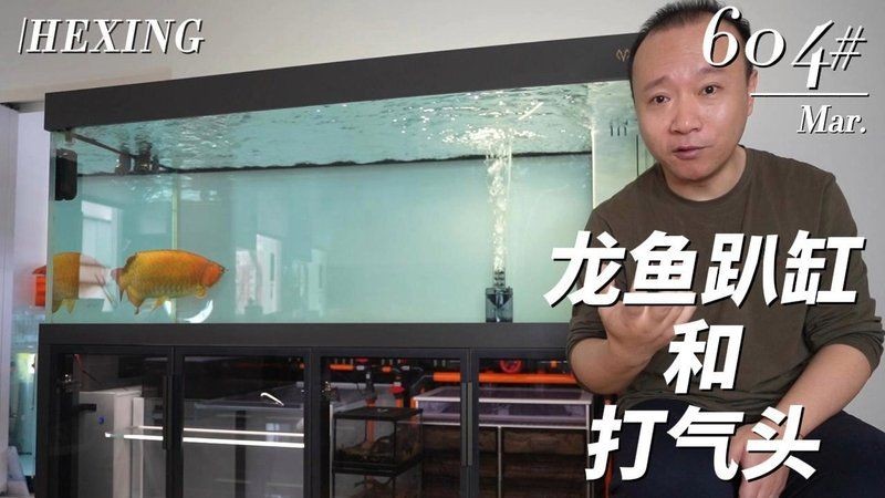 號(hào)半龍魚(yú)最簡(jiǎn)單三個(gè)步驟，龍魚(yú)簡(jiǎn)易三招