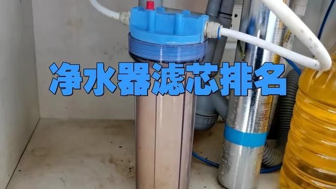 凈水濾芯品牌十大排名，你可以按需選擇，，直白型，凈水濾芯十大品牌排行揭曉，吸睛型，速看！凈水濾芯品牌TOP10榜單，專業(yè)型，權威發(fā)布，凈水濾芯