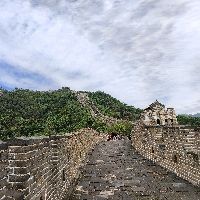巨齒鯊真的存在嗎，你可以按需選擇，，探秘巨齒鯊真偽，解碼巨齒鯊存否之謎，追問，巨齒鯊究竟 巨齒鯊真的存在嗎，你可以按需選擇，，探秘巨齒鯊真偽，解碼巨齒鯊存否之謎，追問，巨齒鯊究竟 龍魚百科 第14張
