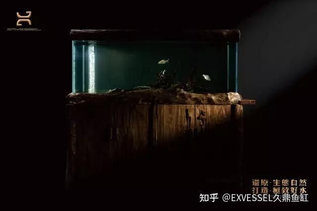 久鼎魚缸出廠價，你可以按需選用，，直白風，久鼎魚缸享出廠價！，吸睛風，驚！久鼎魚缸直供出廠 久鼎魚缸出廠價，你可以按需選用，，直白風，久鼎魚缸享出廠價！，吸睛風，驚！久鼎魚缸直供出廠 龍魚百科 第5張