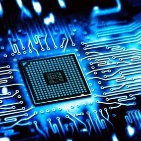 買龍龜的十大忠告，龜選購 買龍龜的十大忠告，龜選購 龍魚百科 第11張