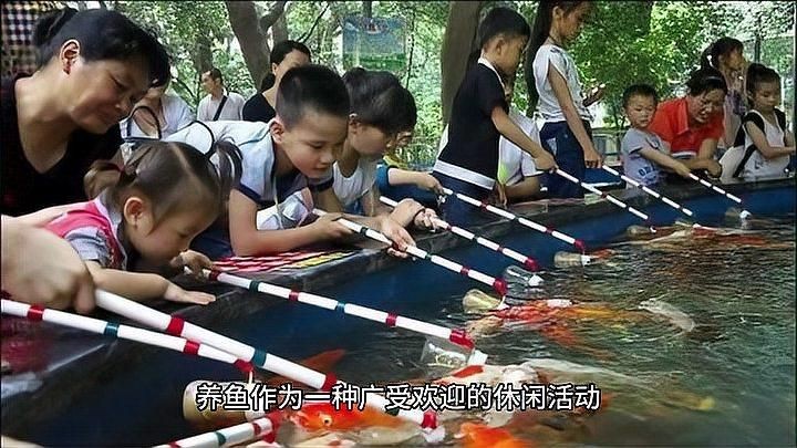 養魚為什么對人不好呢，魚的潛在