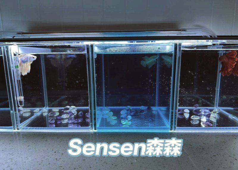 吉印led最建議買的三個燈，印LED精選三款必買好燈