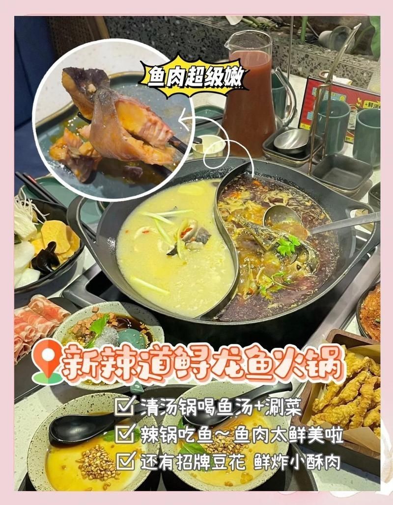 保定龍魚店，幾個不同風格的簡短標題供你參考，，保定·龍魚臻選店，保定龍魚精品鋪，保定龍 保定龍魚店，幾個不同風格的簡短標題供你參考，，保定·龍魚臻選店，保定龍魚精品鋪，保定龍 全國水族館企業名錄 第3張