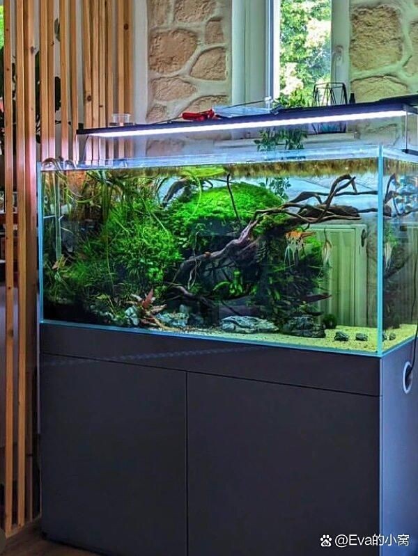 興安盟魚缸定做，你可以按需選用，，興安盟專屬魚缸定制！，興安盟匠心打造魚缸！，興安盟專業魚缸