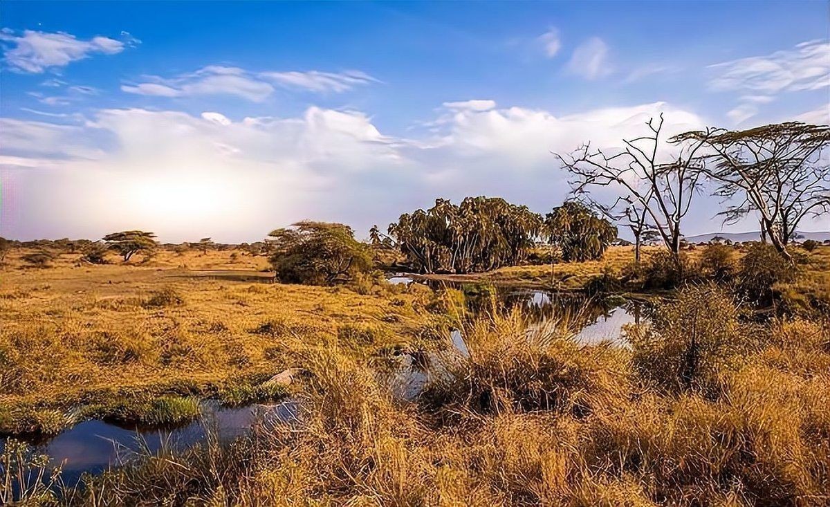 含肺魚圖片，直白型，驚艷！含肺魚高清圖片來襲，好奇引導型，探秘含肺魚，獨特圖片大公開，文藝風，邂逅含肺魚，定格奇妙瞬間（ 含肺魚圖片，直白型，驚艷！含肺魚高清圖片來襲，好奇引導型，探秘含肺魚，獨特圖片大公開，文藝風，邂逅含肺魚，定格奇妙瞬間（ 全國水族館企業名錄 第6張