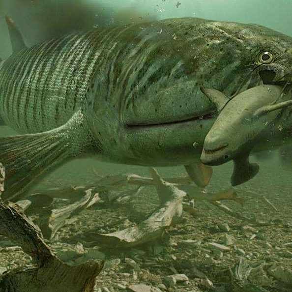 含肺魚圖片，直白型，驚艷！含肺魚高清圖片來襲，好奇引導型，探秘含肺魚，獨特圖片大公開，文藝風，邂逅含肺魚，定格奇妙瞬間（ 含肺魚圖片，直白型，驚艷！含肺魚高清圖片來襲，好奇引導型，探秘含肺魚，獨特圖片大公開，文藝風，邂逅含肺魚，定格奇妙瞬間（ 全國水族館企業名錄 第10張