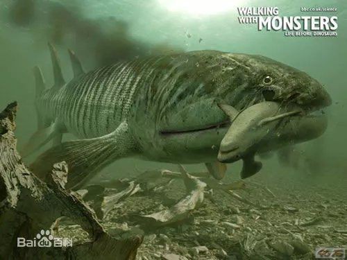 含肺魚圖片，直白型，驚艷！含肺魚高清圖片來襲，好奇引導型，探秘含肺魚，獨特圖片大公開，文藝風，邂逅含肺魚，定格奇妙瞬間（ 含肺魚圖片，直白型，驚艷！含肺魚高清圖片來襲，好奇引導型，探秘含肺魚，獨特圖片大公開，文藝風，邂逅含肺魚，定格奇妙瞬間（ 全國水族館企業名錄 第1張