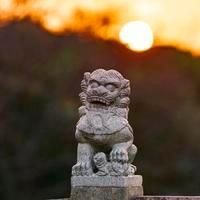 擺件龍頭朝外還是朝內，件龍頭朝向講究，朝外還是朝 擺件龍頭朝外還是朝內，件龍頭朝向講究，朝外還是朝 龍魚百科 第7張