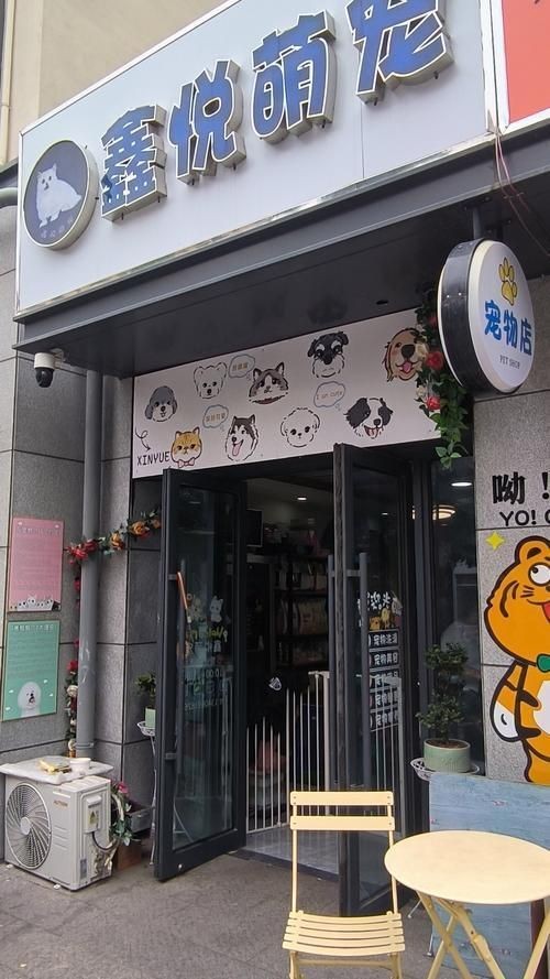 開寵物店10大忠告，你可以按需選擇，，萌寵店經營十大錦囊，寵物店運營十誡箴言，開寵店必知 開寵物店10大忠告，你可以按需選擇，，萌寵店經營十大錦囊，寵物店運營十誡箴言，開寵店必知 龍魚百科 第4張