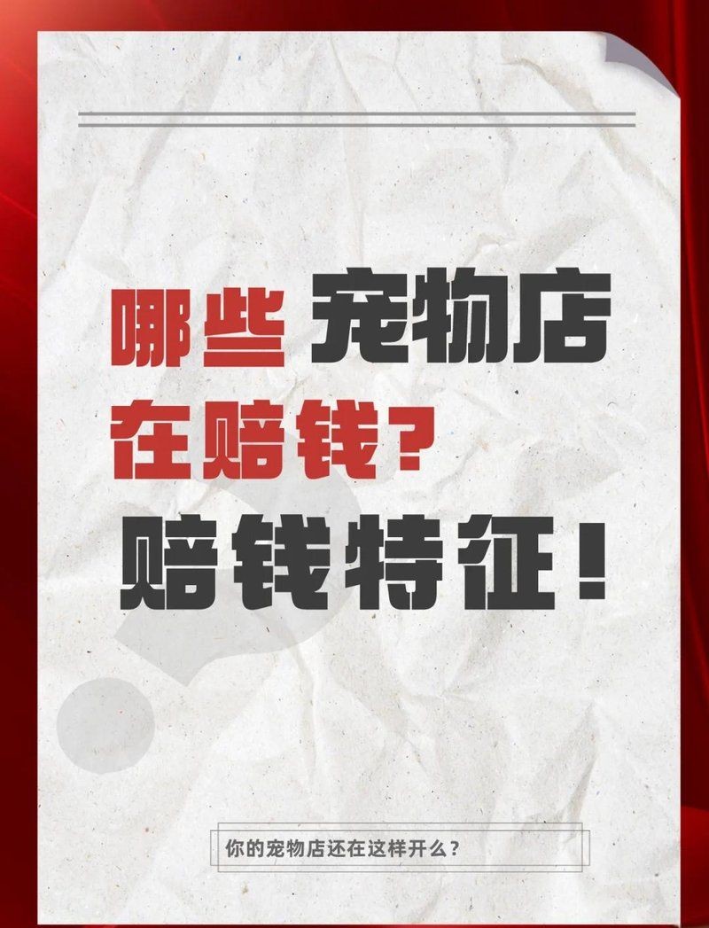 開寵物店10大忠告，你可以按需選擇，，萌寵店經營十大錦囊，寵物店運營十誡箴言，開寵店必知 開寵物店10大忠告，你可以按需選擇，，萌寵店經營十大錦囊，寵物店運營十誡箴言，開寵店必知 龍魚百科 第6張