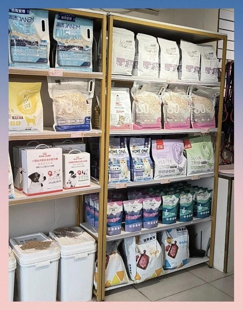 開寵物店10大忠告，你可以按需選擇，，萌寵店經營十大錦囊，寵物店運營十誡箴言，開寵店必知 開寵物店10大忠告，你可以按需選擇，，萌寵店經營十大錦囊，寵物店運營十誡箴言，開寵店必知 龍魚百科 第14張