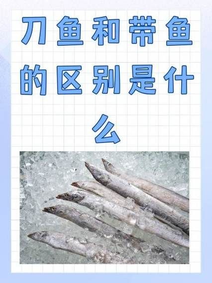 和刀魚相似的魚圖片，似刀魚的魚類