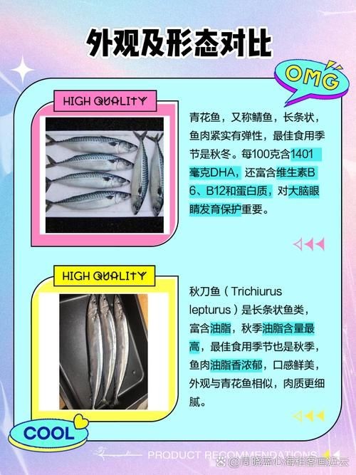 和刀魚相似的魚圖片，似刀魚的魚類 和刀魚相似的魚圖片，似刀魚的魚類 全國水族館企業名錄 第15張