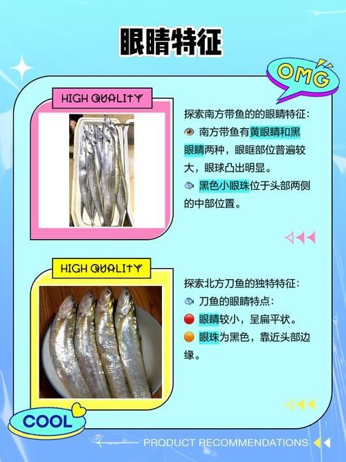 和刀魚相似的魚圖片，似刀魚的魚類 和刀魚相似的魚圖片，似刀魚的魚類 全國水族館企業名錄 第5張