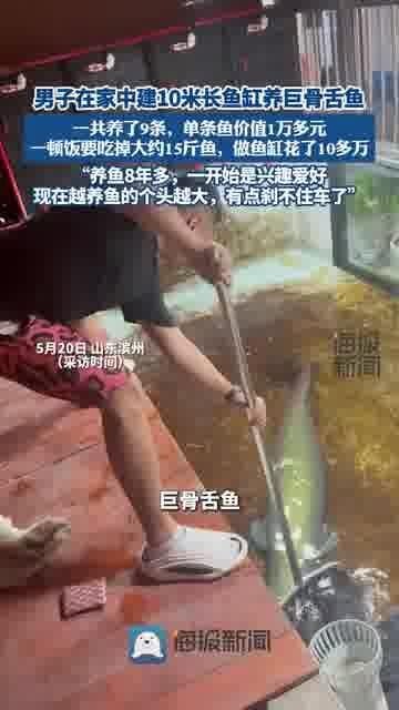 巨骨舌魚多少一條，你可以按需選擇，，直白詢問型，巨骨舌魚單條售價幾何？，簡潔好奇型，巨骨舌魚一條啥價？，日常探詢型，巨骨舌