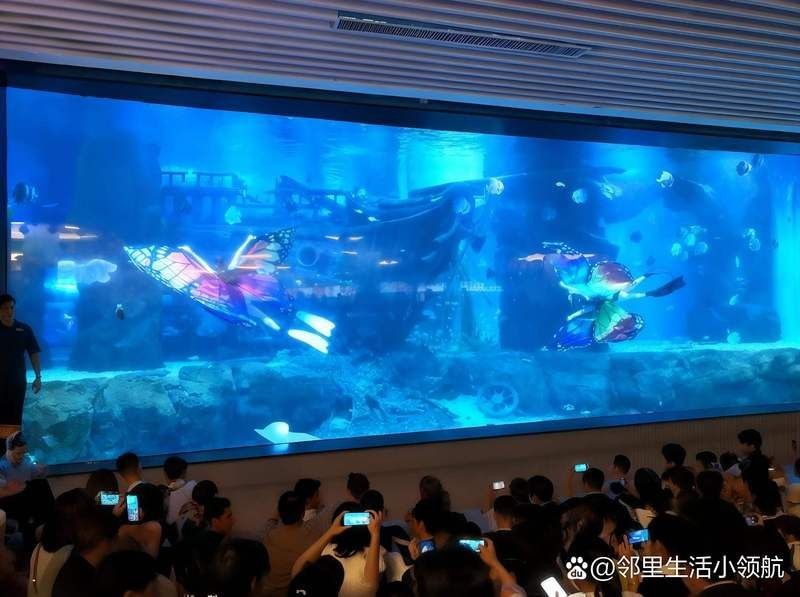 吉安水族店，幾種不同風(fēng)格的1句短標(biāo)題示例供你參考，，突出特色型，吉安寶藏水族店，簡潔直白型，吉安人氣水族店，活潑吸睛型，嗨玩吉安