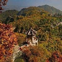 吉祥物魚圖片，幾種不同風格的一句短標題供你參考，，萌趣吉祥魚圖鑒，靈動吉祥物魚影繪，可愛 吉祥物魚圖片，幾種不同風格的一句短標題供你參考，，萌趣吉祥魚圖鑒，靈動吉祥物魚影繪，可愛 龍魚百科 第27張