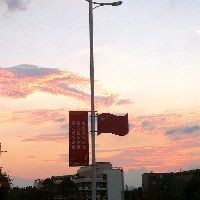 巨型七星魚(yú)，你可以按需選擇，，探秘巨型七星魚(yú)，邂逅巨型七星魚(yú)