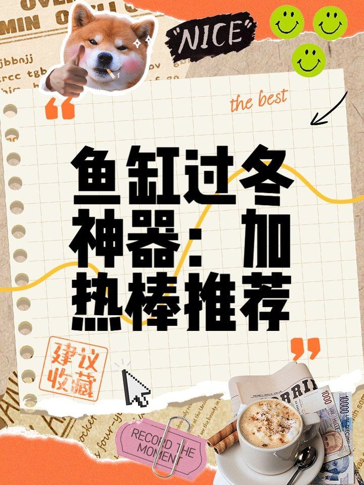光特億智能插排怎么樣，你可以按需選擇，，測(cè)評(píng)向，光特億智能插排實(shí)測(cè)表現(xiàn)如何？，疑問式，光特億智能插排究竟咋樣？，直白風(fēng)，探秘光特