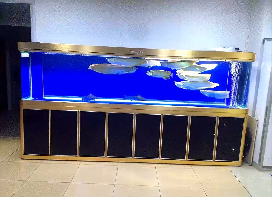1米5的魚缸壓塌樓板了，驚險(xiǎn)！1米5魚缸壓塌樓板，禍起魚缸！1米5大缸塌穿樓板，駭人！1米5魚缸