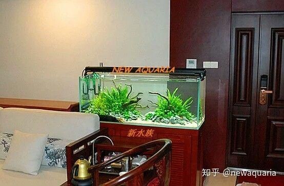 1米5的魚缸壓塌樓板了，驚險(xiǎn)！1米5魚缸壓塌樓板，禍起魚缸！1米5大缸塌穿樓板，駭人！1米5魚缸