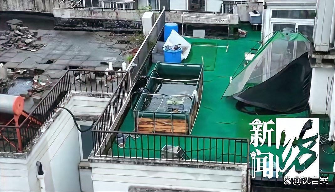 1米5的魚缸壓塌樓板了，驚險(xiǎn)！1米5魚缸壓塌樓板，禍起魚缸！1米5大缸塌穿樓板，駭人！1米5魚缸