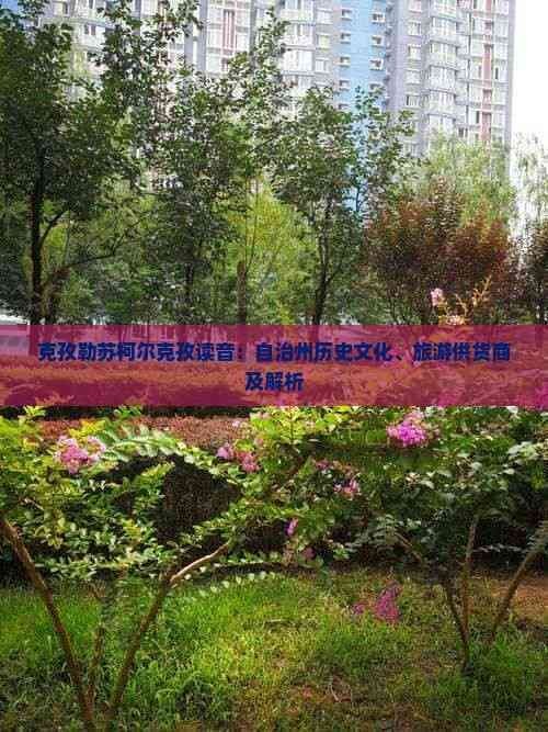 克孜勒蘇柯爾克孜自治州魚缸批發市場，直白型，克州魚缸批發大市場，突出特色型，克孜勒蘇柯爾克孜自治州專營魚缸批發地，吸睛型，探秘克孜勒蘇柯爾克孜自治