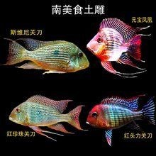 和尚魚多少錢一條，幾種不同風格的簡短標題供你參考，，和尚魚單價幾何？，和尚魚每條啥價？，探和尚