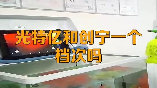 光特億是雜牌還是名牌，特億，雜牌