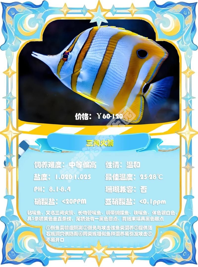 假鰈魚和真鰈魚圖片