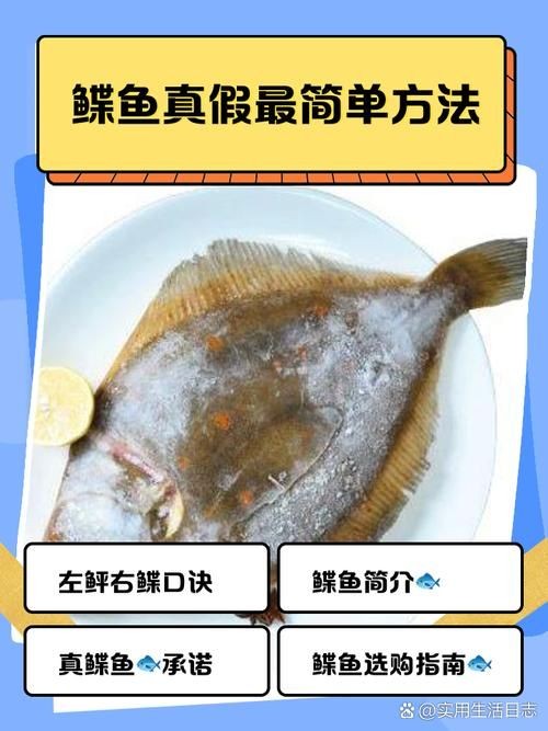 假鰈魚和真鰈魚圖片