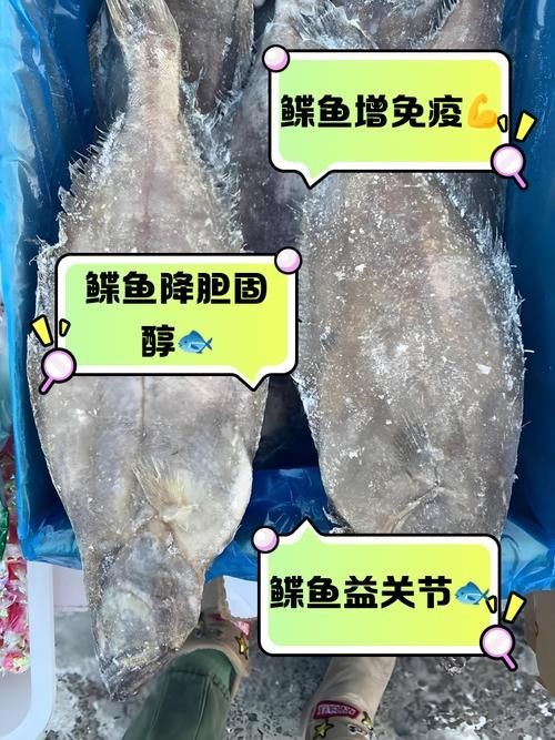 假鰈魚和真鰈魚圖片