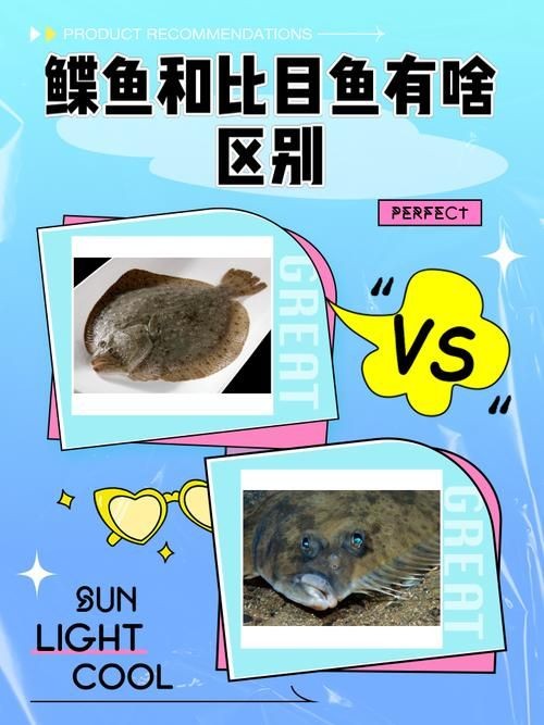 假鰈魚和真鰈魚圖片