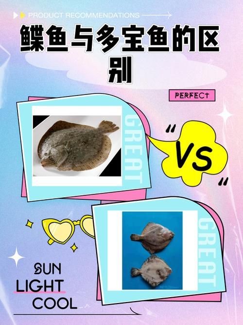 假鰈魚和真鰈魚圖片