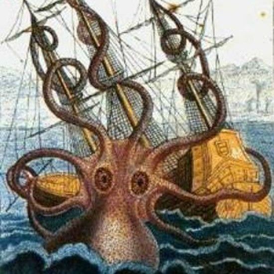 巨型章魚vs大王烏賊 巨型章魚vs大王烏賊 龍魚百科 第13張