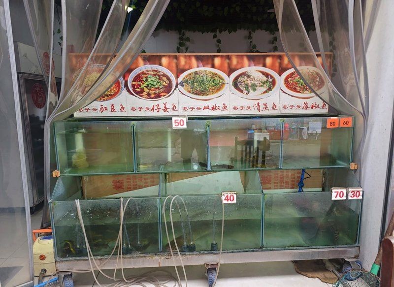 樂山龍魚店