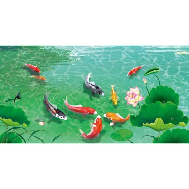 九魚圖幾條