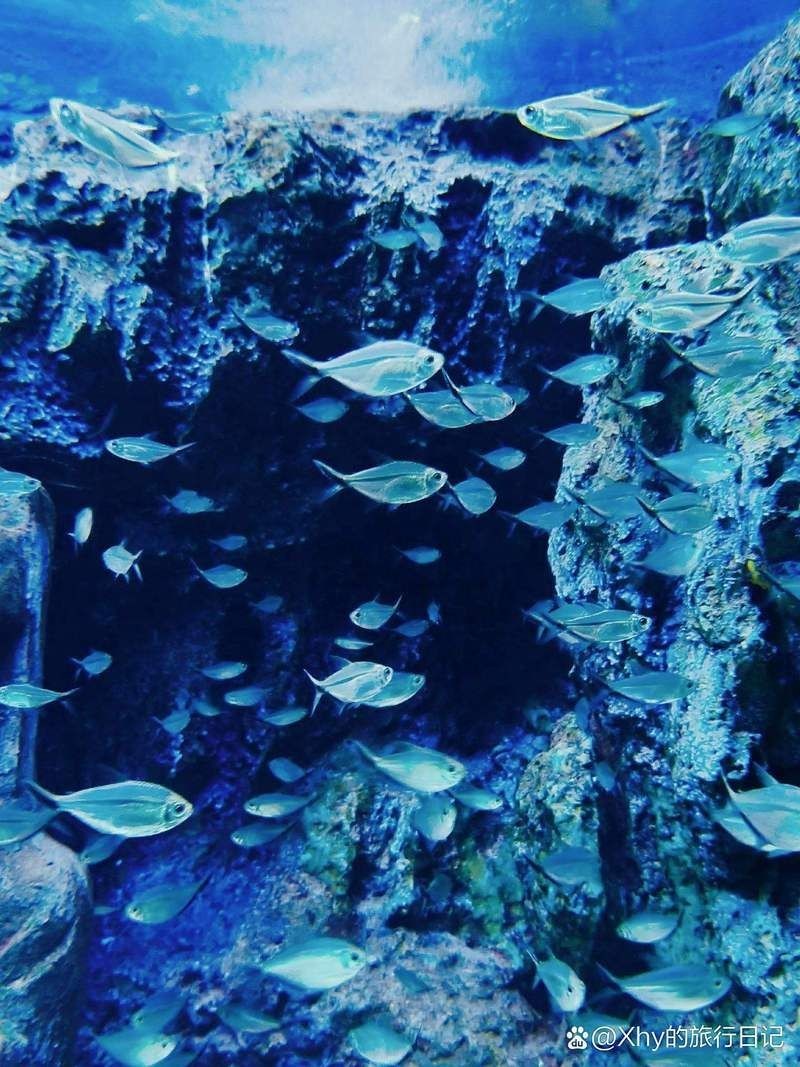 北海水族館