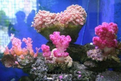 北海水族館