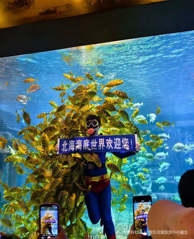 紅龍魚的品種有哪些（紅龍魚買什么品種好養）